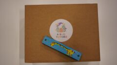 Renkli ve Desenli Çocuk Mızıkası